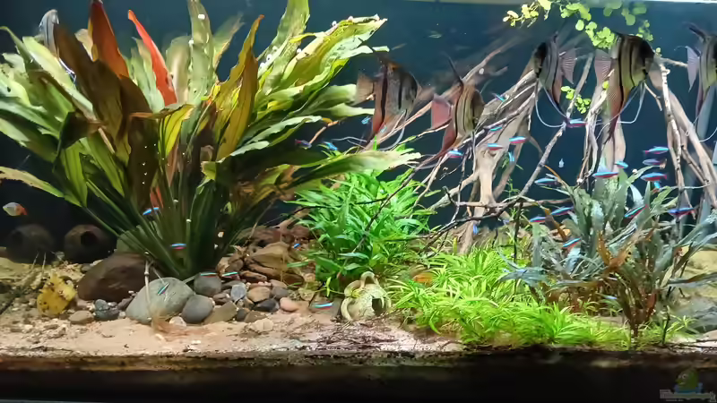 Nov. 2025 von Markus J. (1)