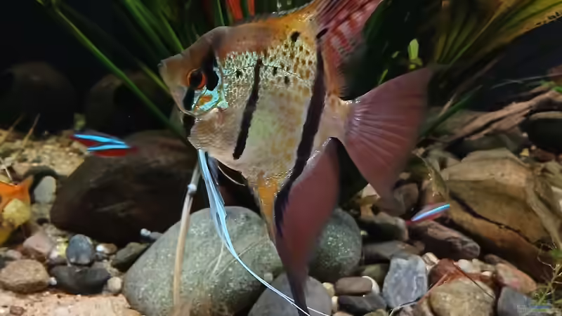 Nov. 2025 von Markus J. (16)