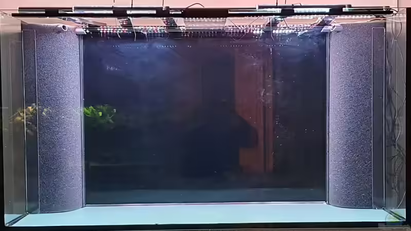 Nov 20 - HMF in den Ecken mit 80 cm Höhe von ravaka (29)