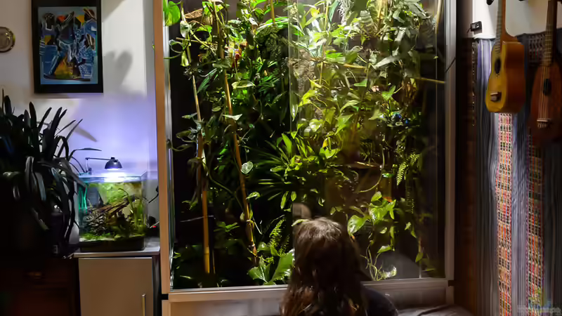 Nov 2016 von fischgarage (2)