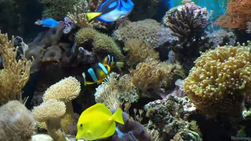 November 08 Gesamtansicht von lex2lex (9)