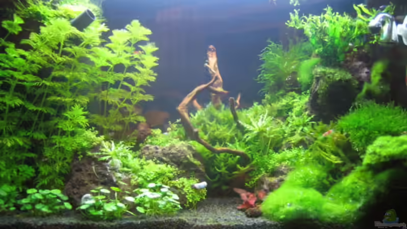 November 08 von Marion Kulsch (3)