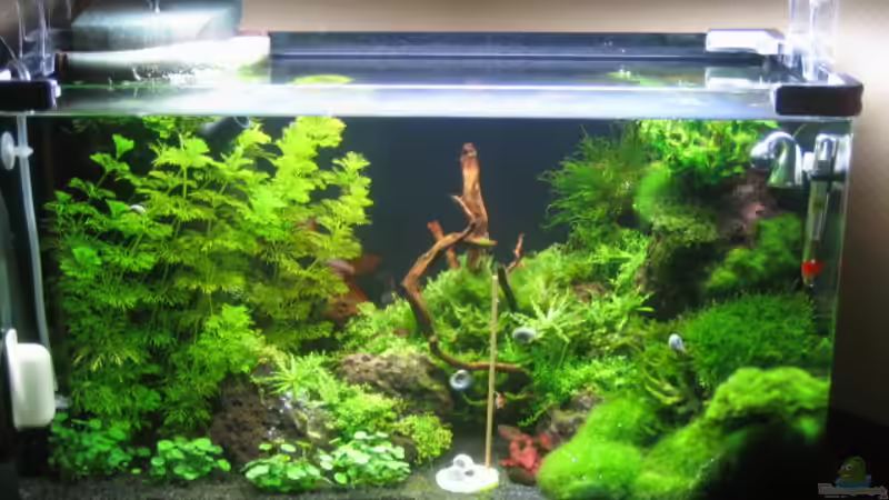 November 08 von Marion Kulsch (4)