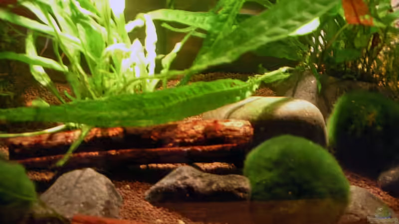 November_09 von Andres (3)