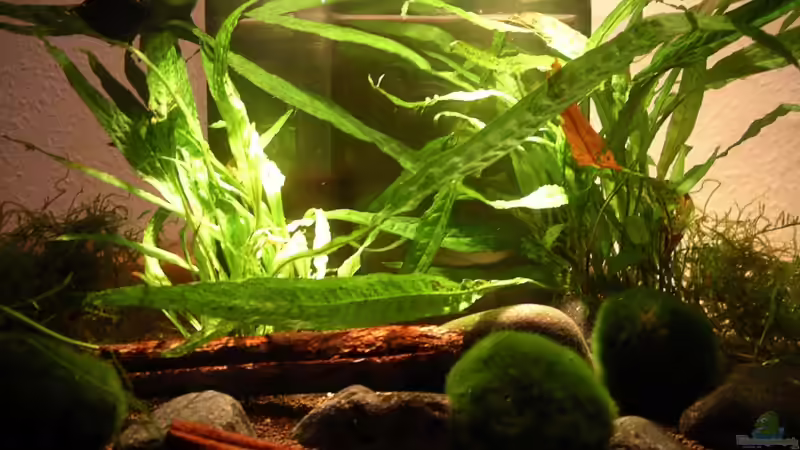 November_09 von Andres (7)