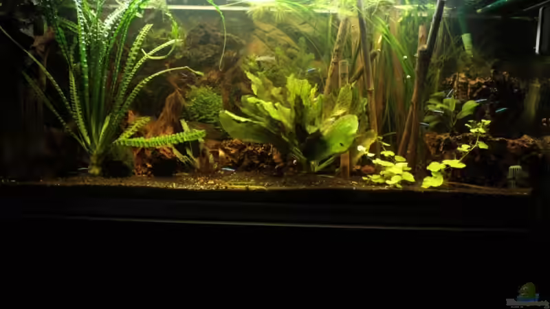 November 2008 von Marcus Blum (1)