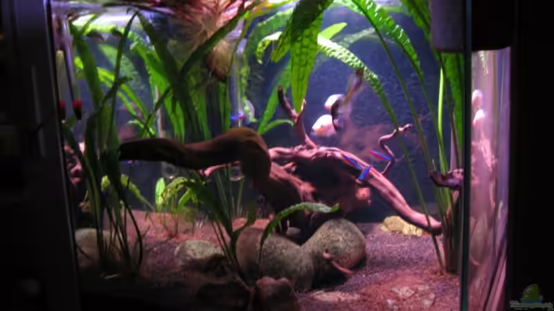 November 2008 von tenebroso (2)