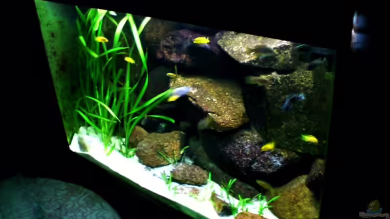 November 2008 von timme (11)