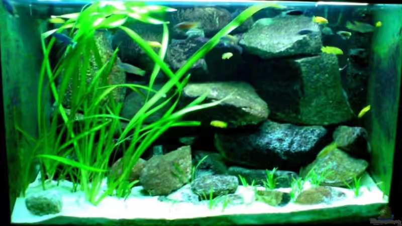 November 2008 von timme (12)