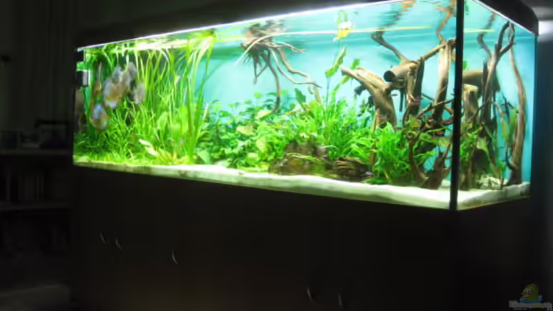 November 2010-soweit so gut von Korbi (5)