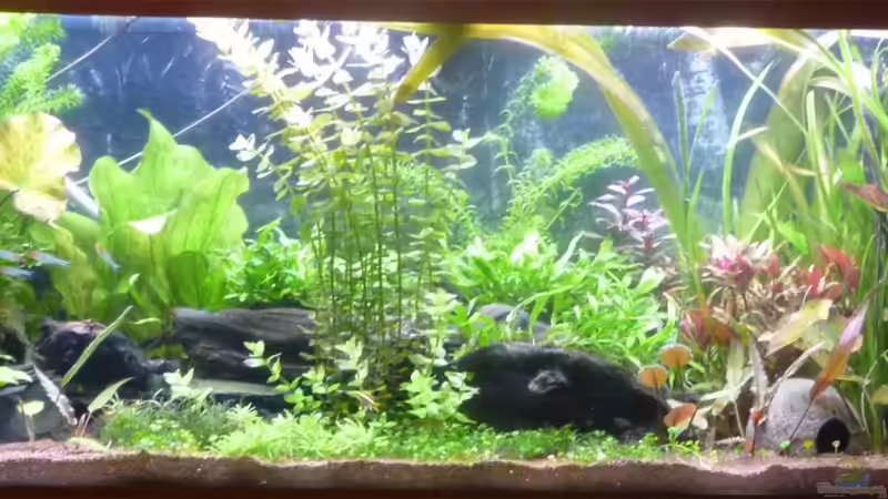 November 2011 von _ME_ (5)