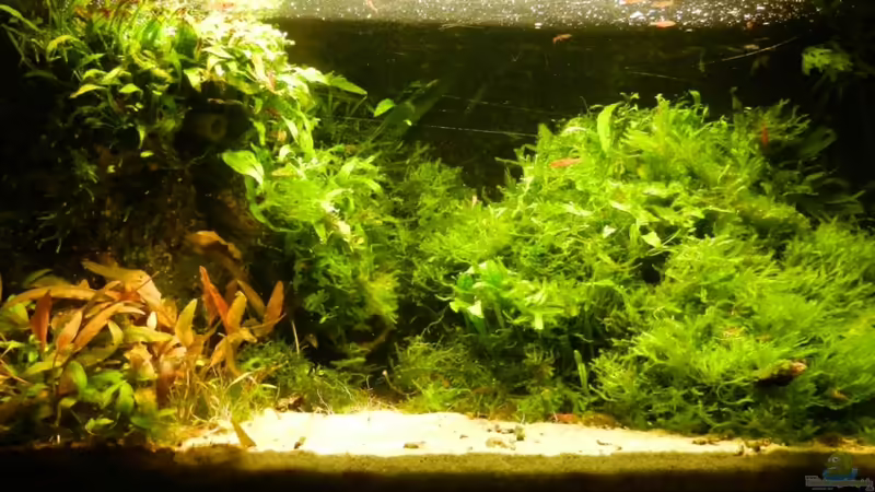 November 2011 von basetim (16)