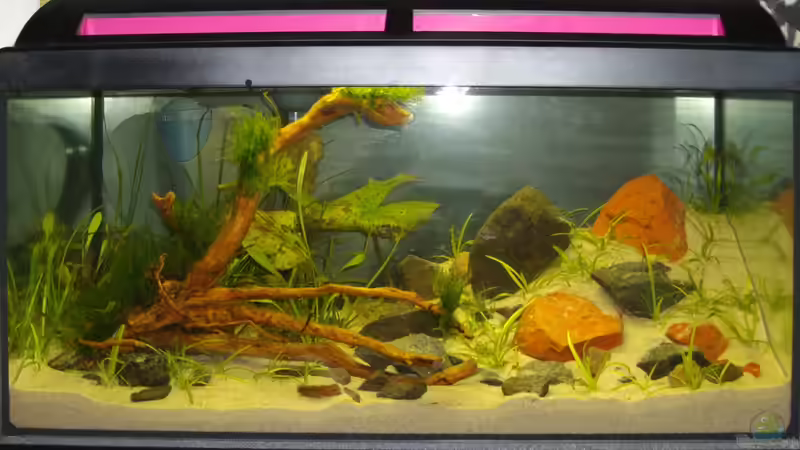 November 2012 - Vor der Neueinrichtung von DasJin (2)