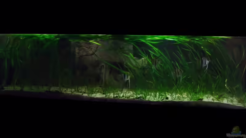 November 2012 von PH Neutral (7)