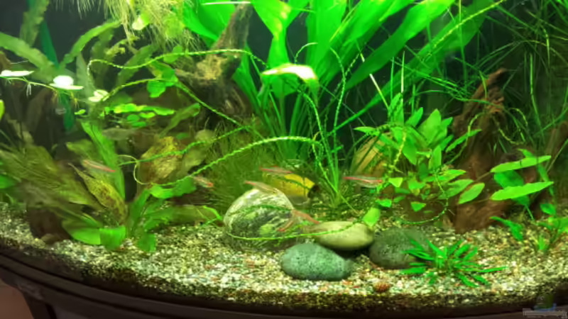 November 2013 von Kathrin77 (6)