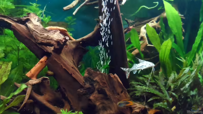 November 2013 von S04Peter (37)