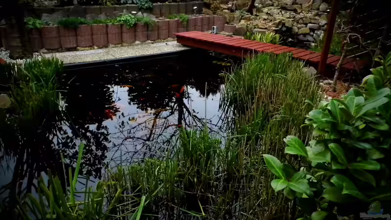 November 2013 von snooze (11)