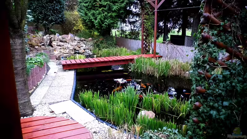 November 2013 von snooze (13)