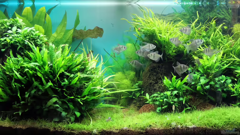 November 2014 von c-th (4)