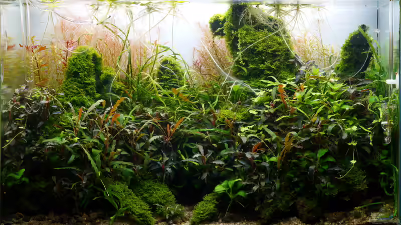 November 2017 von Micha... (9)