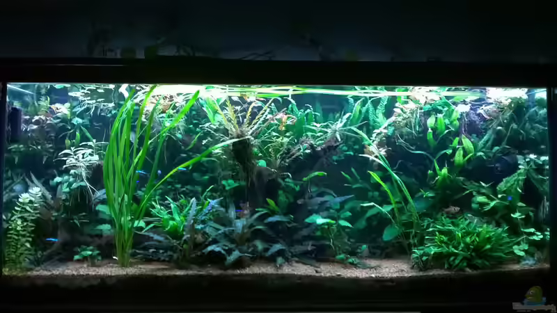 November 2017 von Steven Müller (19)