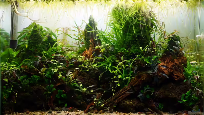 November 2018 von Micha... (16)