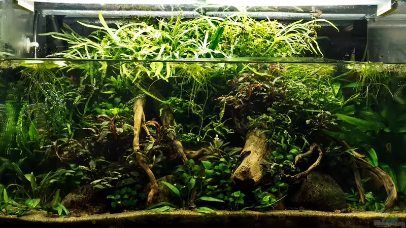 November 2019 von Micha... (17)