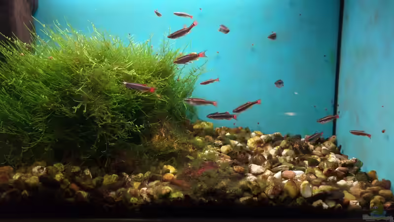 November 2022 ... kurz vor der ´Winterbepflanzung´ von Roland Saager (4)