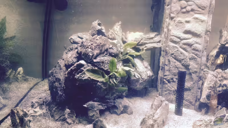 Nun die größere Steinformation (Links) von dennel (7)