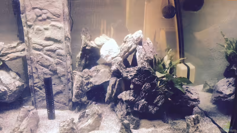 Nun die größere Steinformation (Rechts) von dennel (6)