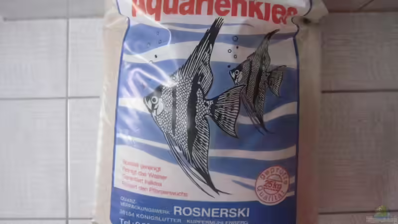 nun geht es ans flußsand waschen von Tiburón (3)