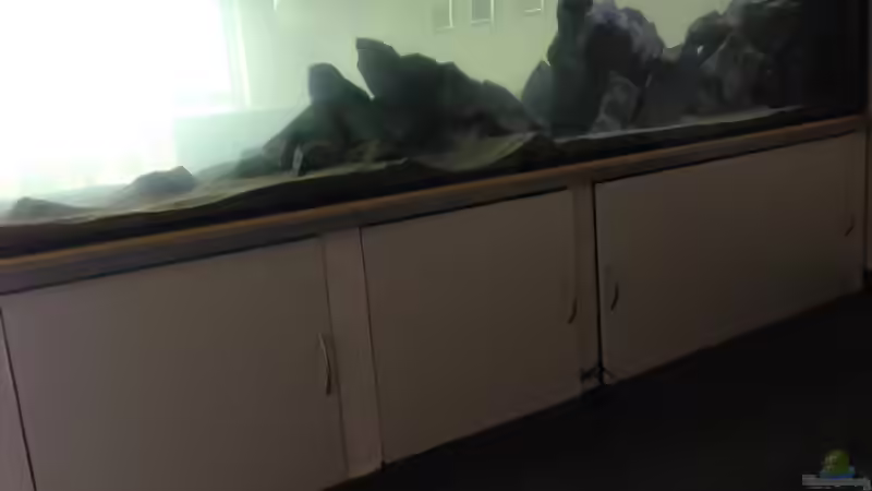 Nun ist der Pott voll von Swenni (12)