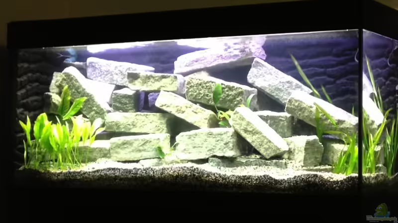 Nun mit Pflanzen.... von Ralf Schmitz (1)