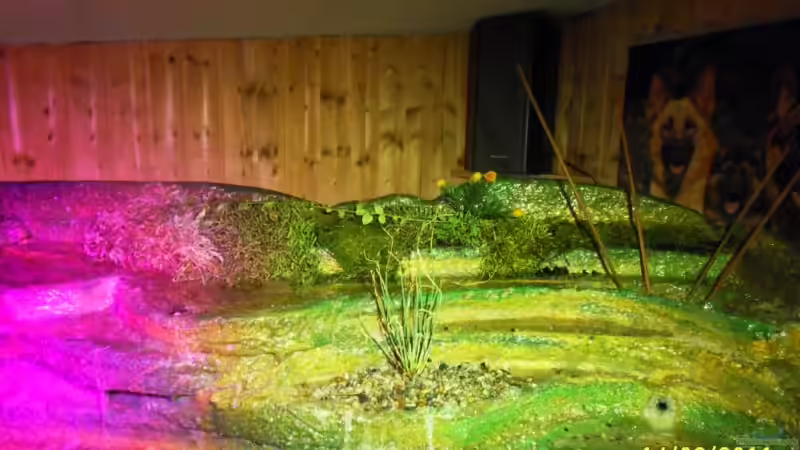 Nun müssen die Pflanzen und das Moos nur noch gedeihen von Ulrich Sauerhering (42)