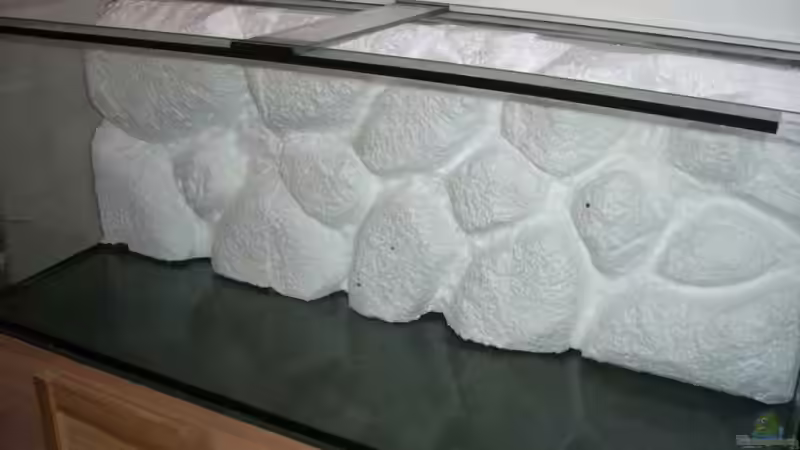 nun noch das verputzen! von breakfastklubber (10)