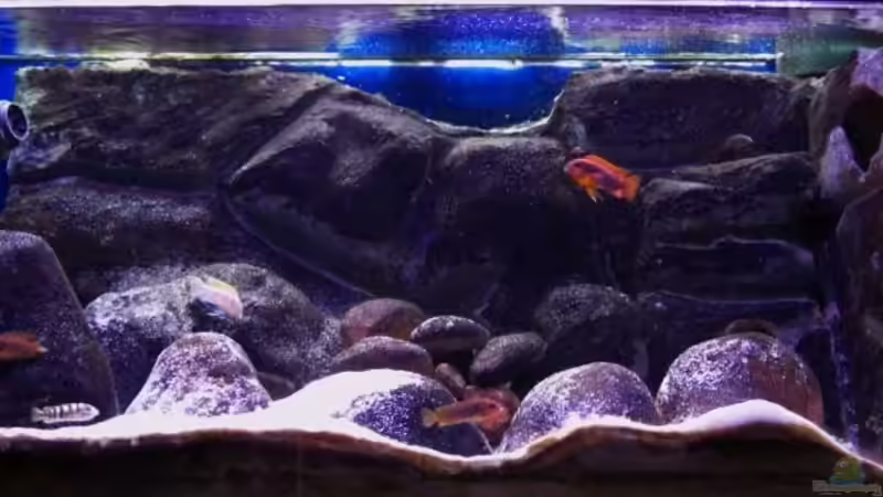 nun sind auch die Steine dunkel  von jankov (11)