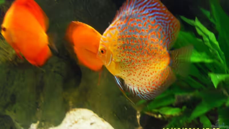 nun sind wir groß von Ulrich Sauerhering (30)