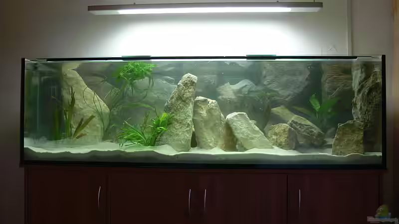 Nun wartet nur noch der Bestand aufs Einziehen.... von Christian Klar (6)