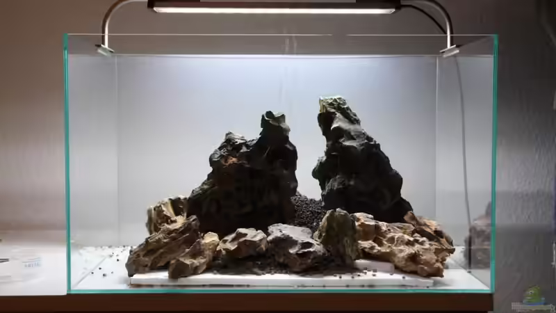 Nun wird die oberste Bodengrundschicht, ein Soilboden aufgetragen. Dabei handelt von Arami Gurami (13)