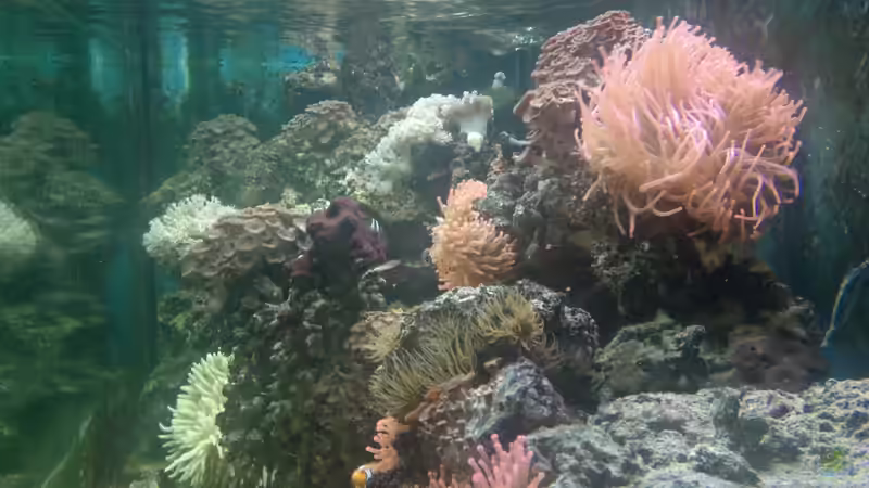 nur 2 x 80 Watt T5  von Thomas38 (14)