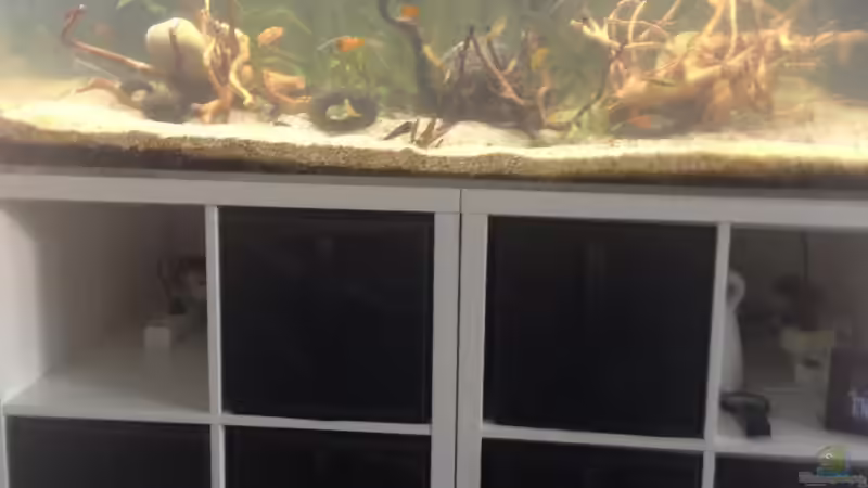 ´Nur´ 9 Stunden später... von schmitzkatze (4)