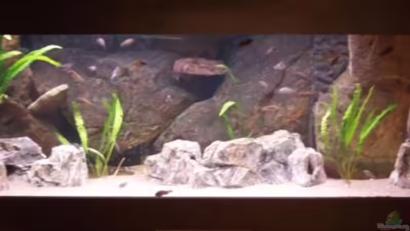 Nur Becken von Heiko Kazmierczak (2)