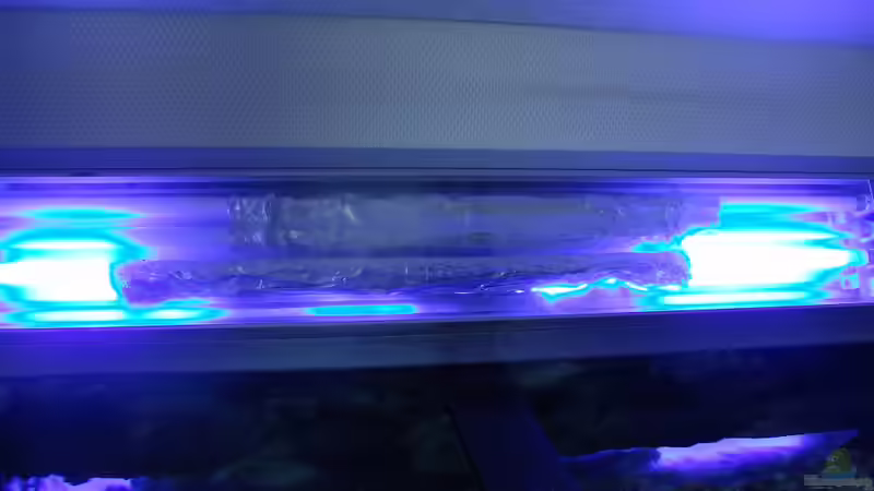 Nur Blau von Fabian Lehmann (14)