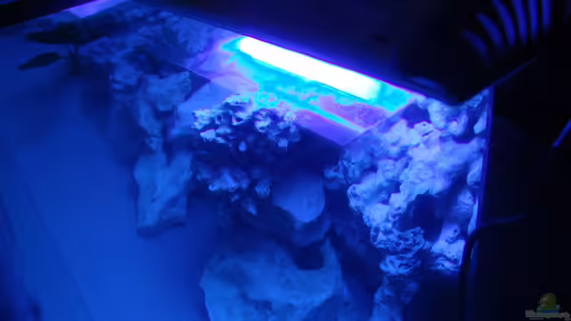 Nur Blau von Fabian Lehmann (3)