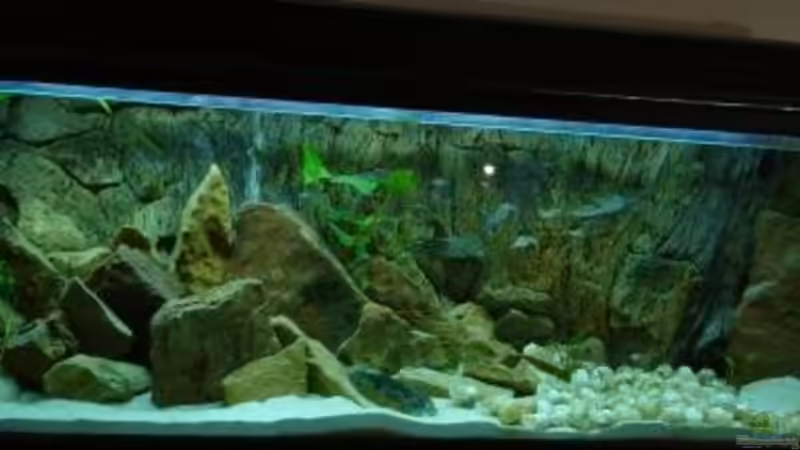 nur blaues Licht - das haben wir dann doch wieder geändert von Susanne Gillig (4)