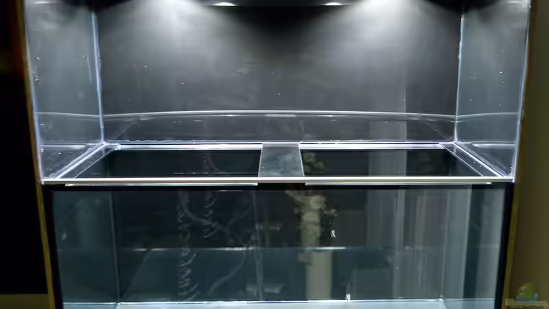 nur die 4x10W LED-Fluter von ~Marco~ (55)