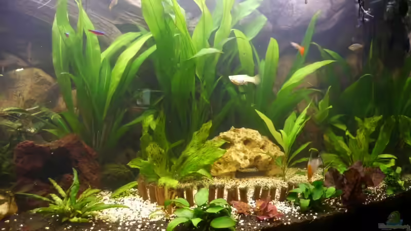 nur ein kleiner ausschnitt,der rest kommt noch