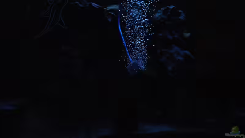 Nur Foto von Tanga italiana (16)