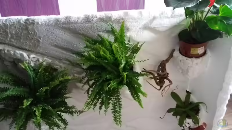 Nur mal geschaut wie es aussehen könnte von Sebastian Müller (32)