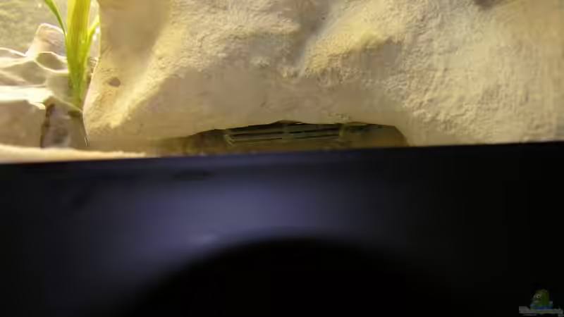 Nur mehr Schwer zu erkennen die 2 Ansaugkörbe von Mario Latschein (10)